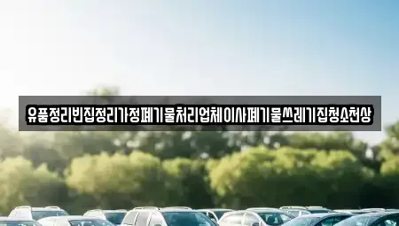 서울 중구 장충동1가 중고차매입 전문 유품정리빈집정리가정폐기물처리업체이사폐기물쓰레기집청소천상