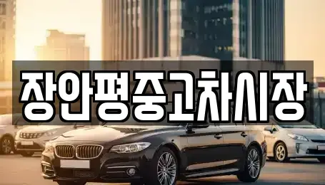 서울 중구 중고차매매,단기렌트카,중고차매입,장기렌트카,중고차,렌트카