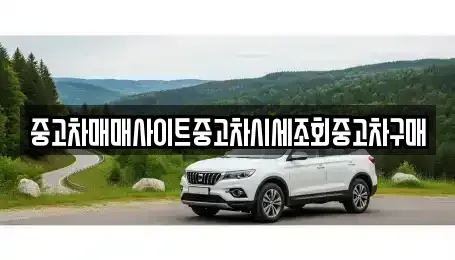 서울 중구 중고차매매 전문 중고차매매사이트중고차시세조회중고차구매