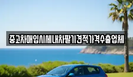서울 중구 중고차매입 전문 중고차매입시세내차팔기견적가격수출업체