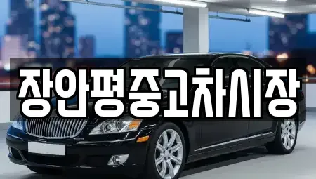 서울특별시 성동구 하왕십리동 중고차 전문 장안평중고차시장