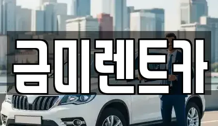 서울특별시 양천구 단기렌트카 전문 금미렌트카