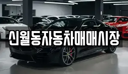 서울특별시 양천구 중고차 전문 신월동자동차매매시장