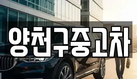 서울특별시 양천구 중고차 전문 양천구중고차