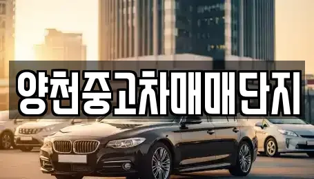 서울특별시 양천구 중고차 전문 양천중고차매매단지