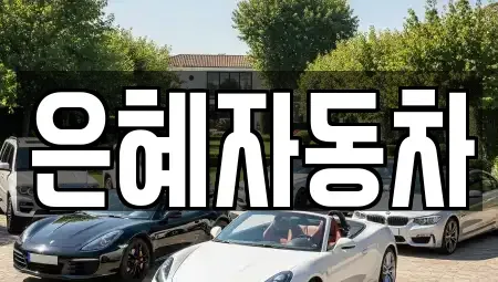 서울특별시 양천구 중고차 전문 은혜자동차