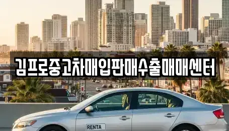 서울특별시 양천구 중고차매입 전문 김프로중고차매입판매수출매매센터