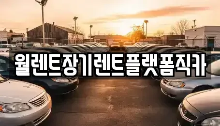 서울특별시 은평구 구산동 장기렌트카 전문 월렌트장기렌트플랫폼직카