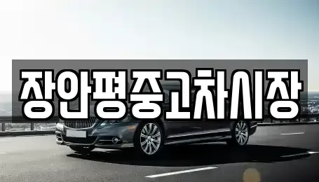 서울특별시 종로구 운니동 중고차매매 전문 장안평중고차시장