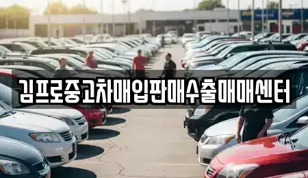 서울특별시 종로구 운니동 중고차매입 전문 김프로중고차매입판매수출매매센터