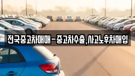 서울특별시 종로구 운니동 중고차매입 전문 전국중고차매매-중고차수출,사고노후차매입