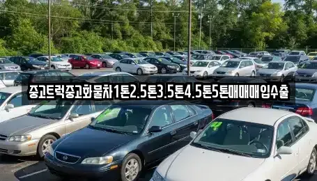 서울특별시 종로구 운니동 중고차매입 전문 중고트럭중고화물차1톤2.5톤3.5톤4.5톤5톤매매매입수출