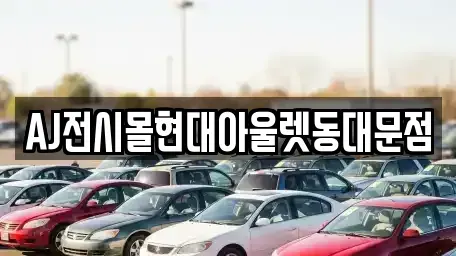 서울특별시 중구 산림동 렌트카 전문 AJ전시몰현대아울렛동대문점