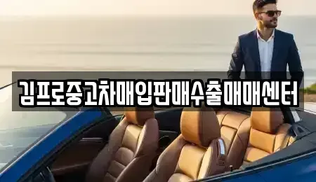 서울특별시 중구 산림동 중고차 전문 김프로중고차매입판매수출매매센터