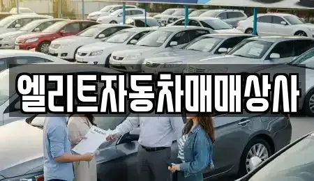 울산 북구 화봉동 중고차 전문 엘리트자동차매매상사