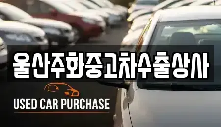 울산광역시 남구 여천동 중고차 전문 울산주화중고차수출상사