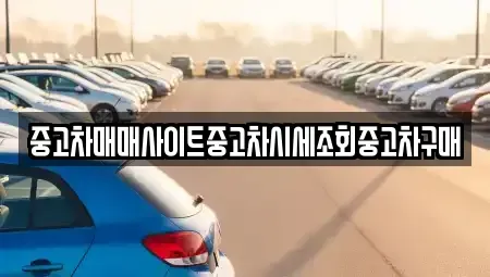 울산광역시 남구 여천동 중고차 전문 중고차매매사이트중고차시세조회중고차구매