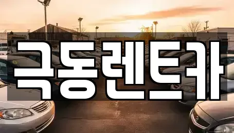 울산광역시 남구 장생포동 렌트카 전문 극동렌트카