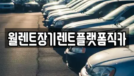 인천 서구 시천동 장기렌트카 전문 월렌트장기렌트플랫폼직카