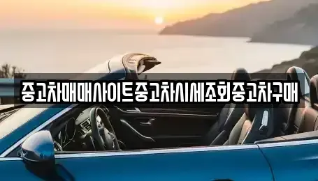 인천 중구 선화동 중고차 전문 중고차매매사이트중고차시세조회중고차구매