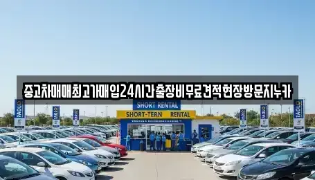 인천 중구 선화동 중고차 전문 중고차매매최고가매입24시간출장비무료견적현장방문지누카