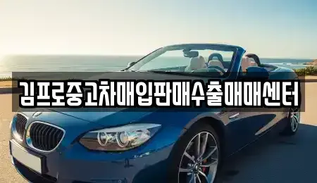인천광역시 중구 송월동1가 단기렌트카,중고차매입,중고차매매,중고차,렌트카,장기렌트카