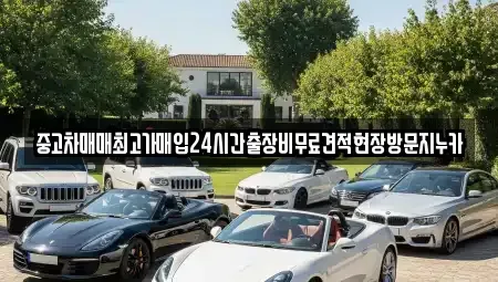 인천광역시 중구 송월동1가 중고차매입 전문 중고차매매최고가매입24시간출장비무료견적현장방문지누카