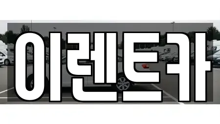 인천광역시 중구 신흥동2가 렌트카 전문 이렌트카