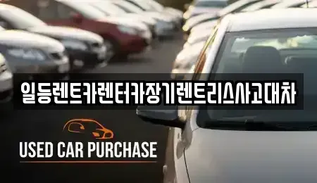 인천광역시 중구 신흥동2가 장기렌트카 전문 일등렌트카렌터카장기렌트리스사고대차