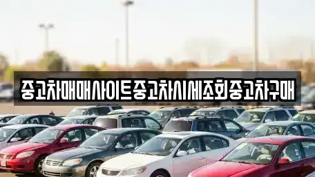 인천광역시 중구 신흥동2가 중고차매매 전문 중고차매매사이트중고차시세조회중고차구매