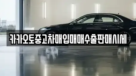 인천광역시 중구 신흥동2가 중고차매입 전문 카카오토중고차매입매매수출판매시세