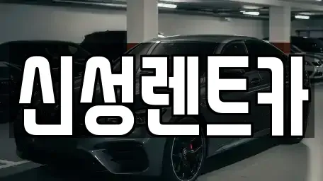 전남 나주시 장기렌트카 전문 신성렌트카