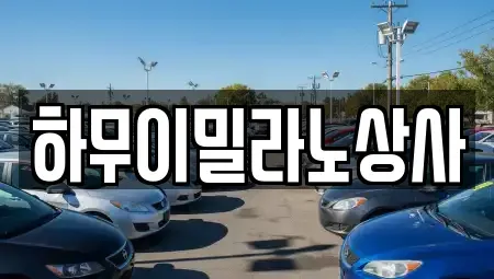 전남 나주시 중고차 전문 하무이밀라노상사