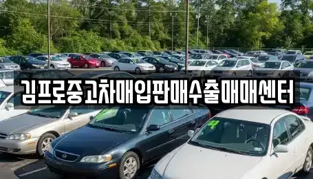 전라남도 나주시 산정동 중고차 전문 김프로중고차매입판매수출매매센터
