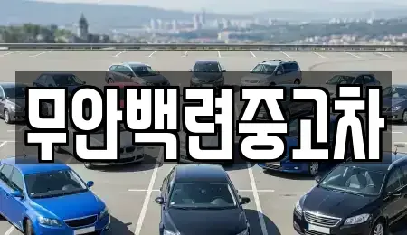전라남도 무안군 몽탄면 중고차 전문 무안백련중고차