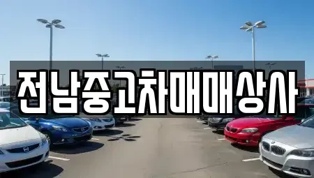 전라남도 무안군 몽탄면 장기렌트카,중고차,렌트카,단기렌트카,중고차매입,중고차매매