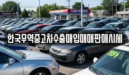 전북 김제시 백구면 중고차매매 전문 한국무역중고차수출매입매매판매시세
