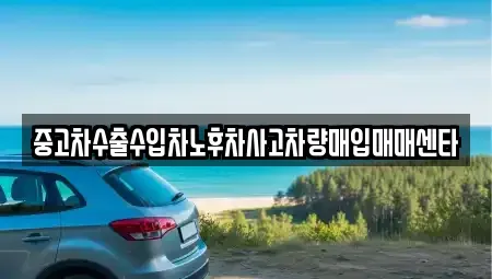 전북 남원시 왕정동 중고차매입 전문 중고차수출수입차노후차사고차량매입매매센타