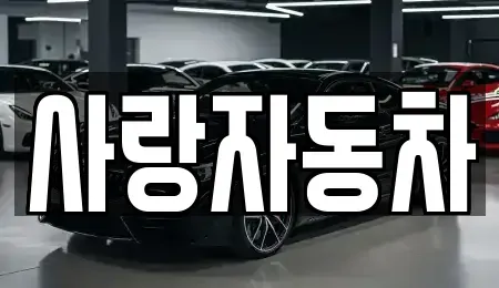 전북 전주시 덕진구 전미동1가 중고차 전문 사랑자동차