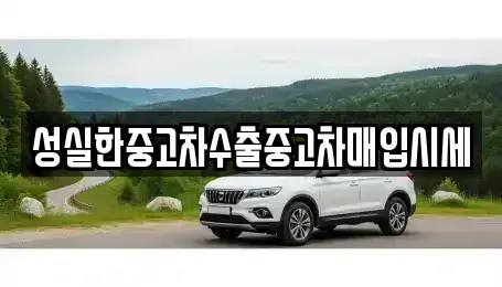 전북 전주시 완산구 중앙동3가 단기렌트카,중고차매입,중고차매매,중고차,렌트카,장기렌트카