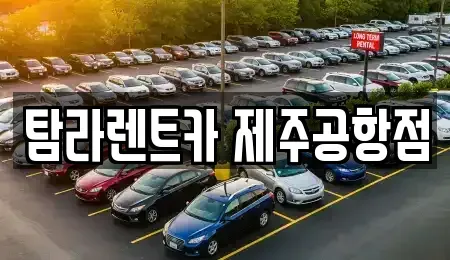 제주 제주시 용담이동 렌트카 전문 탐라렌트카 제주공항점
