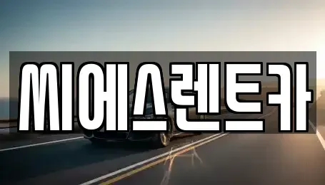 충남 당진시 시곡동 렌트카 전문 씨에스렌트카