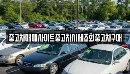 충남 당진시 시곡동 중고차 전문 중고차매매사이트중고차시세조회중고차구매