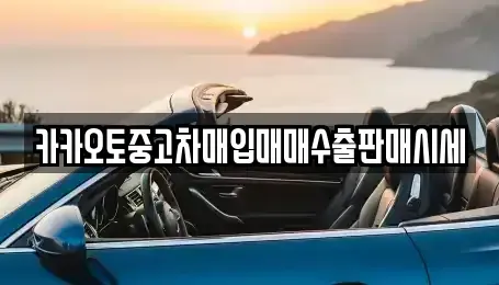 충남 당진시 시곡동 중고차매입 전문 카카오토중고차매입매매수출판매시세