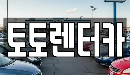 충남 아산시 실옥동 렌트카 전문 토토렌터카