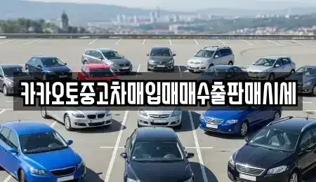 충남 아산시 실옥동 중고차 전문 카카오토중고차매입매매수출판매시세