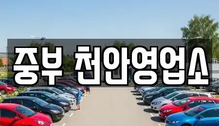 충남 천안시 서북구 쌍용동 렌트카 전문 중부 천안영업소