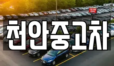 충남 천안시 서북구 쌍용동 중고차매매,단기렌트카,중고차매입,장기렌트카,중고차,렌트카