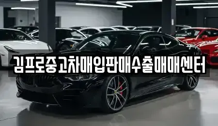 충남 태안군 안면읍 중고차 전문 김프로중고차매입판매수출매매센터