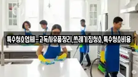 특수청소업체-고독사유품정리,쓰레기집청소,특수청소비용